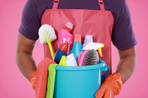 Professional pet stain odour removal in Rainham on carpet