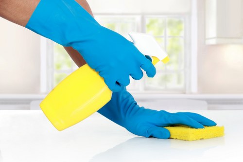 Carpet cleaning team preparing safe equipment and workspace