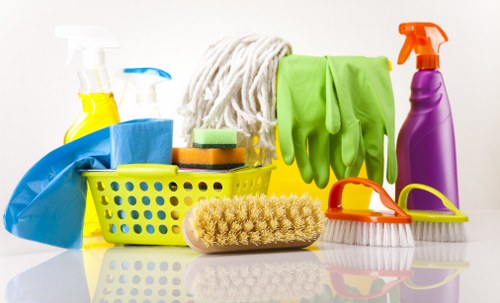 Specialist pet odour cleaning process in Rainham living room