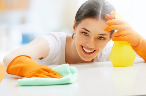 Inclusive digital access statement for Rainham carpet cleaning services