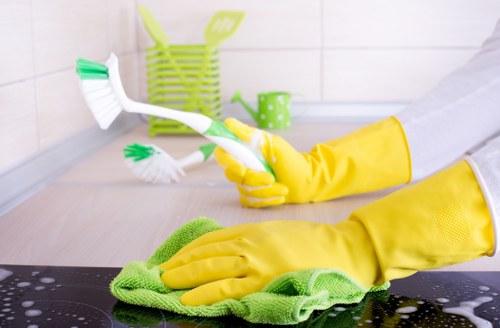 Common household stains on upholstery and fabric surfaces