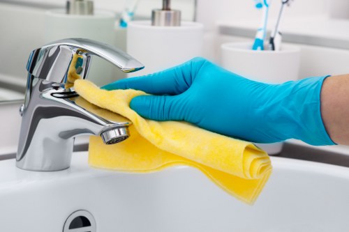 Reviewing service details for a carpet cleaner complaint